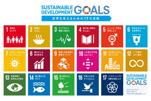 sdg_logo